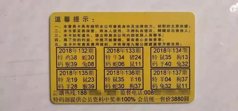香港正版特馬資料，深度解析與探討，香港正版特馬資料的深度解析與探討