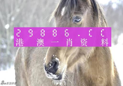 澳門一肖一碼百分百精準預測—揭秘彩票背后的秘密，澳門彩票預測揭秘，一肖一碼百分百精準預測背后的秘密
