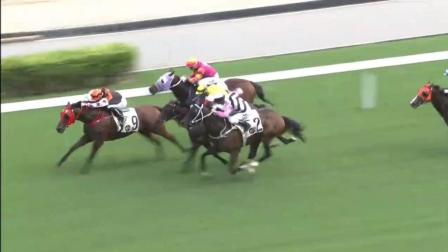 香港開特馬的魅力與影響，香港特馬的魅力及其影響力解析