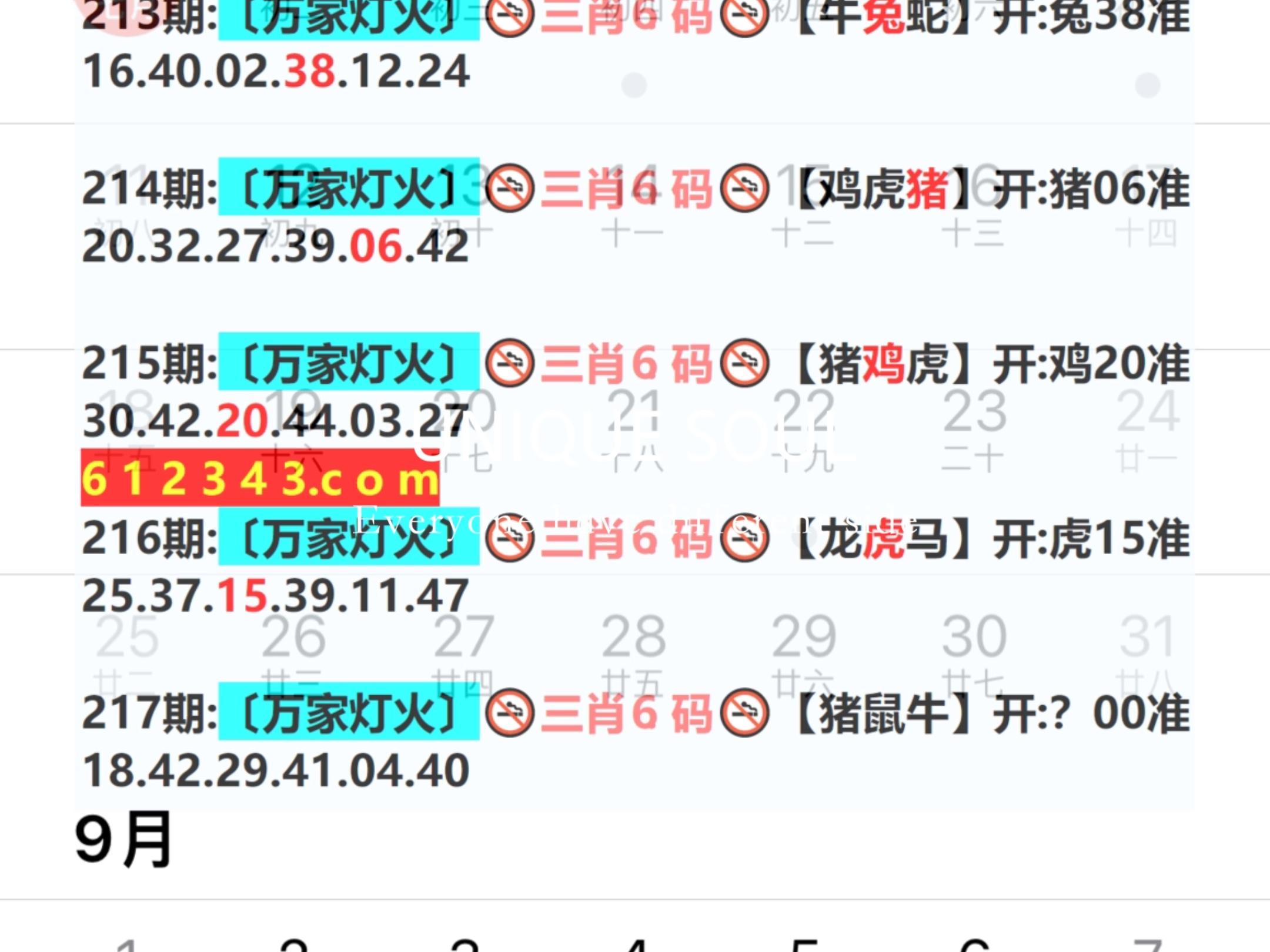 四肖八碼藍(lán)月亮免費資料，揭秘彩票背后的秘密，揭秘彩票背后的秘密，四肖八碼藍(lán)月亮免費資料大揭秘