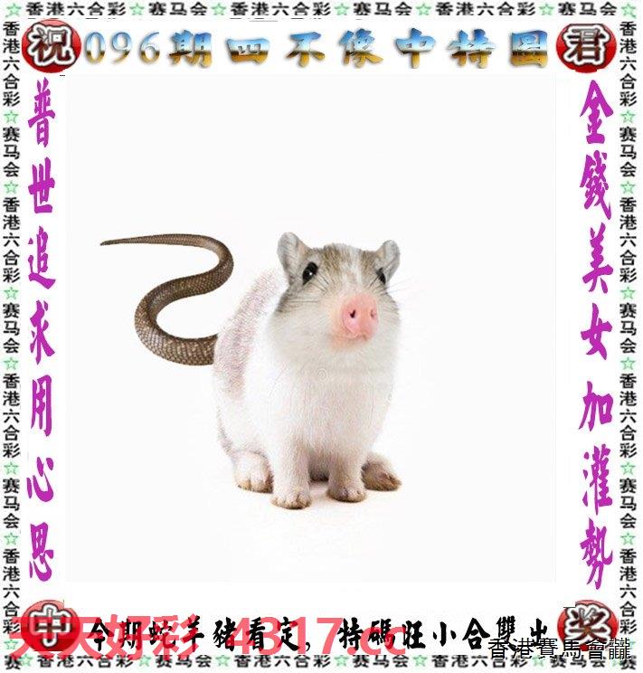 探秘929219cc四不像幽默圖，一場(chǎng)笑料十足的視覺盛宴，探秘四不像幽默圖929219cc，笑料十足的視覺盛宴