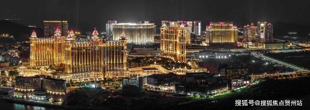 澳門一肖一碼期期準(zhǔn)資料官方APP—精準(zhǔn)預(yù)測的新時(shí)代利器，澳門一肖一碼期期準(zhǔn)資料官方APP，精準(zhǔn)預(yù)測新時(shí)代利器