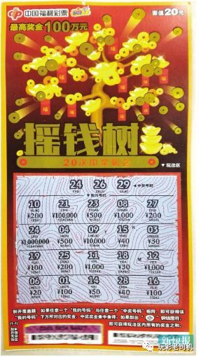 搖錢樹四肖八碼期中獎技巧，揭秘彩票背后的秘密，揭秘彩票背后的秘密，搖錢樹四肖八碼期中獎技巧分享