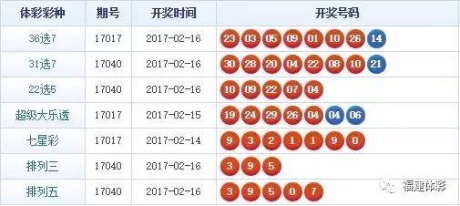 揭秘4933333背后的王中王一肖中特故事，揭秘王中王一肖中特背后的故事，數(shù)字4933333的神秘面紗