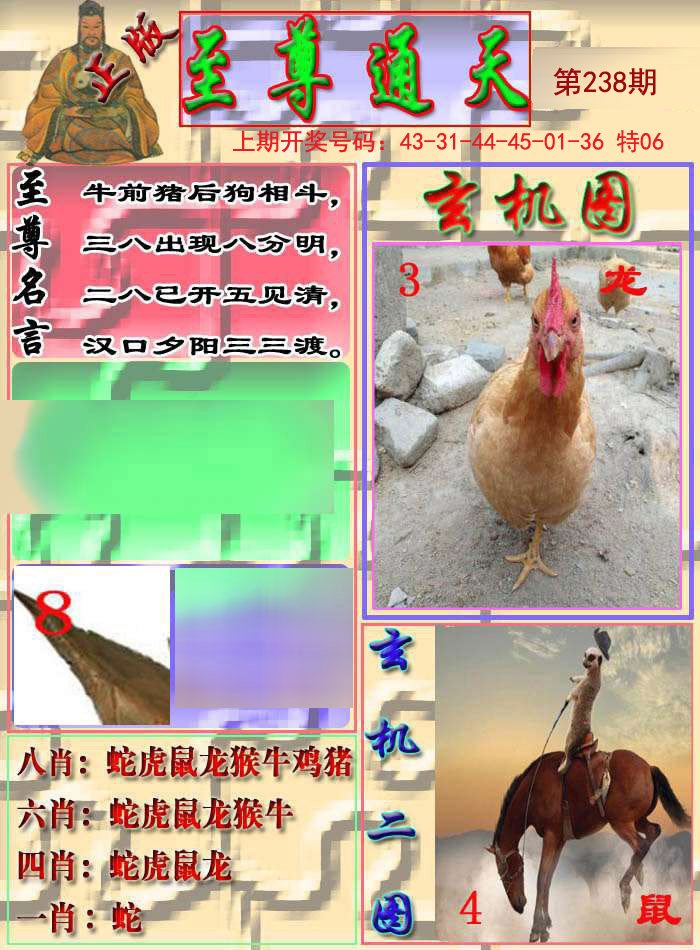 今期掛牌彩圖更新大解析，彩圖更新大解析揭秘最新掛牌內(nèi)容