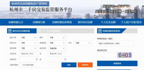 正版掛牌查歷史記錄，正版掛牌歷史記錄查詢