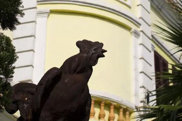 澳門四不像的鳳凰資料，澳門四不像鳳凰資料解析