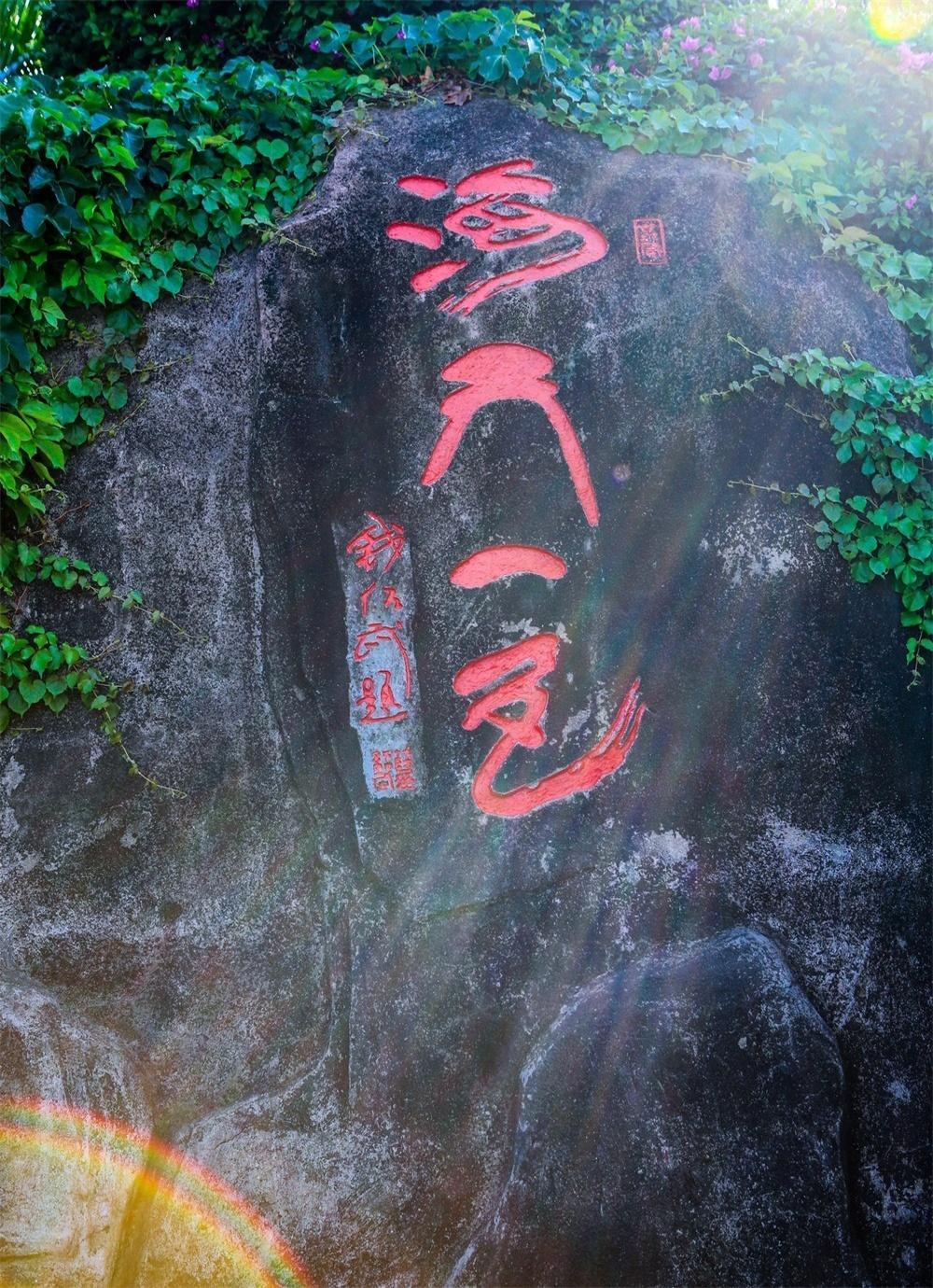 聚寶盆全年免費(fèi)資料，一網(wǎng)打盡所有資源，聚寶盆全年免費(fèi)資料大全，一網(wǎng)打盡所有資源匯總