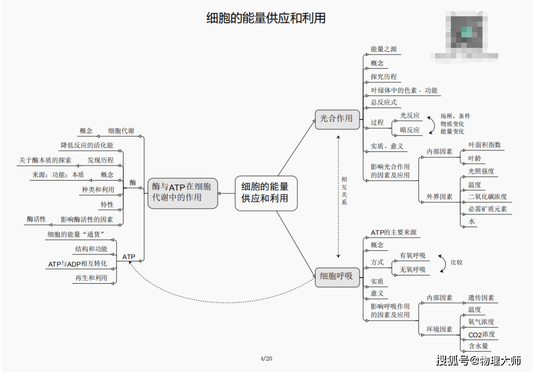 澳門管家婆三期必開(kāi)一特，澳門管家婆三期必出一特揭秘