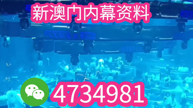新澳門王中王期期中的奧秘與魅力，新澳門王中王期期奧秘與魅力揭秘