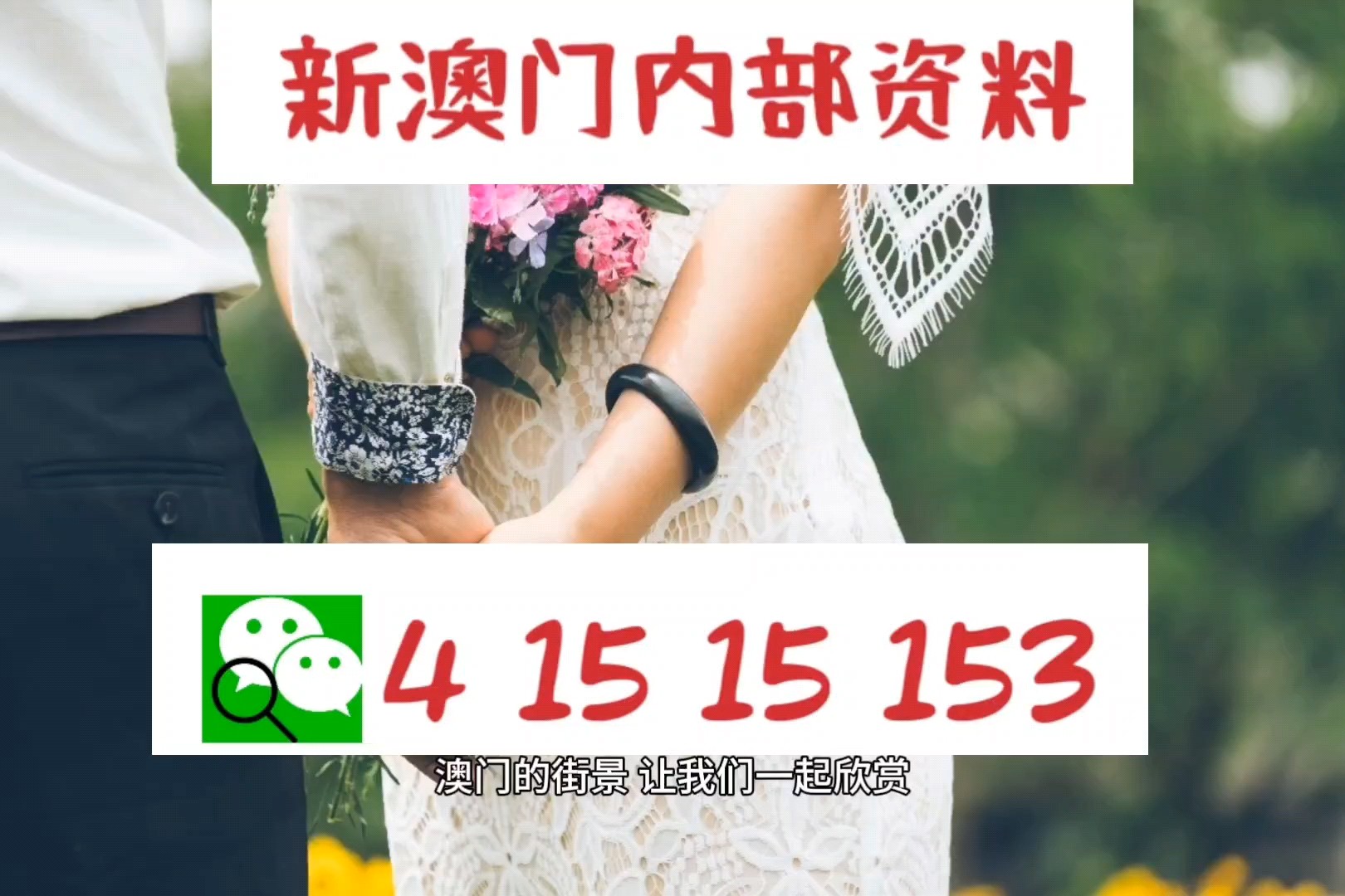 新澳門免費資料掛牌大全—探索最新資訊的門戶，澳門最新資訊門戶，免費掛牌大全