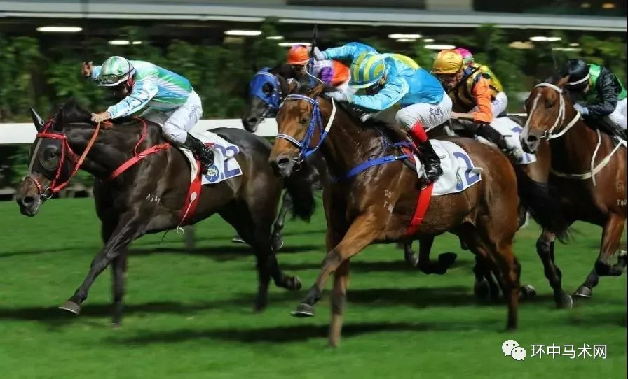 香港今晚出什么特馬，香港今晚特馬預測分析