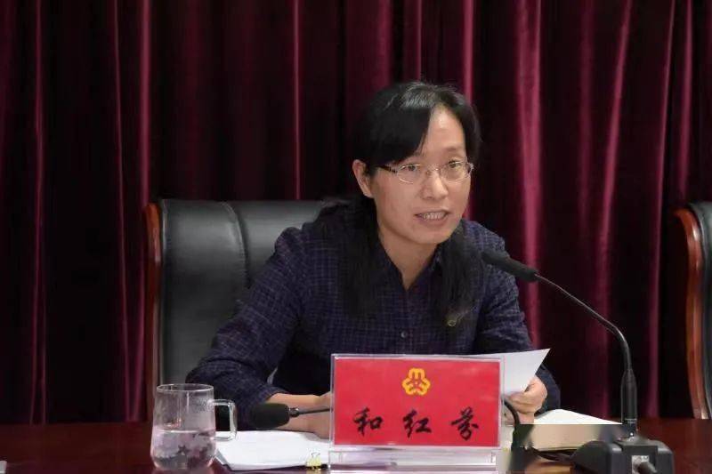 澳門二四六天下彩天天免費大全，澳門二四六天下彩免費大全揭秘
