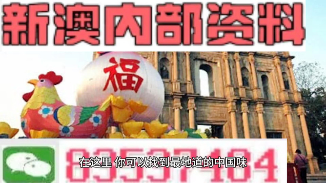 新澳門精準(zhǔn)資料大全管家婆料，澳門精準(zhǔn)資料大全，管家婆料全解析