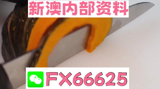 新澳門管家婆資料正版大全—探索最新最全的澳門資訊，澳門資訊大全，最新最全管家婆資料正版探索