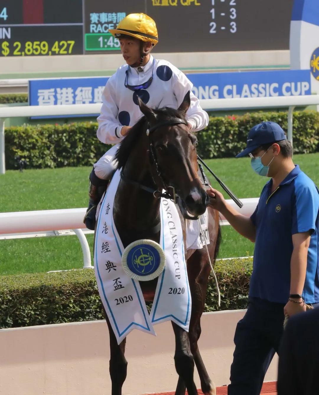 香港馬資料更新最快的，香港最新馬匹資料更新速遞