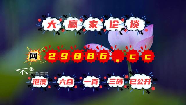 揭秘626969管家婆一肖中特，神秘彩民的勝利之道，揭秘神秘彩民勝利之道，626969管家婆一肖中特揭秘與彩民成功秘訣