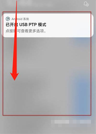 4949澳門彩網(wǎng)站，揭秘澳門彩網(wǎng)站，探索博彩世界的門戶
