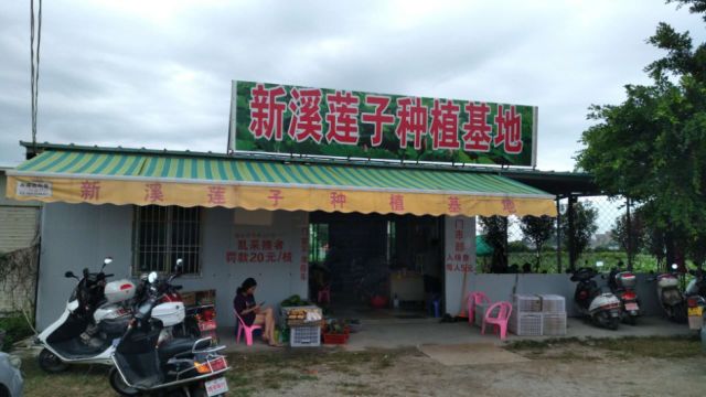 新溪門免費資料大全，一網(wǎng)打盡優(yōu)質(zhì)資源，新溪門優(yōu)質(zhì)資源免費資料大全，一網(wǎng)打盡，暢享無憂
