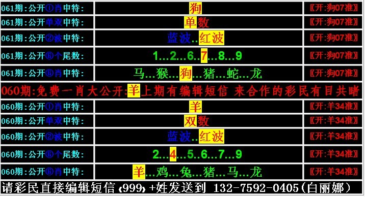 一肖特中平，一肖特中平，揭秘背后的故事