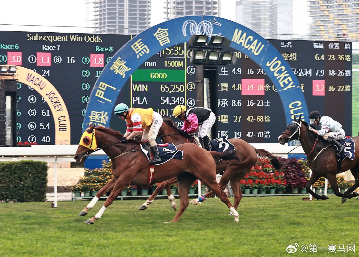 澳門今晚會開什么特馬，澳門今晚特馬開獎結(jié)果預(yù)測
