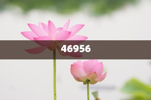 新奧2025天天開(kāi)好彩，新奧2025，每日彩運(yùn)亨通