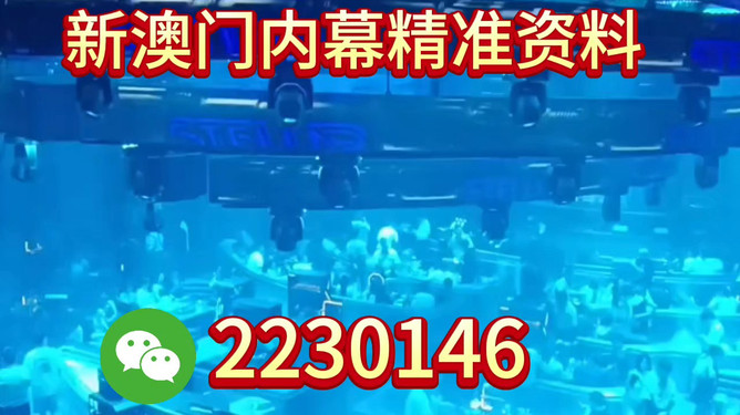 新奧2025今晚開(kāi)獎(jiǎng)資料大揭秘，新奧2025今晚開(kāi)獎(jiǎng)資料揭秘之夜