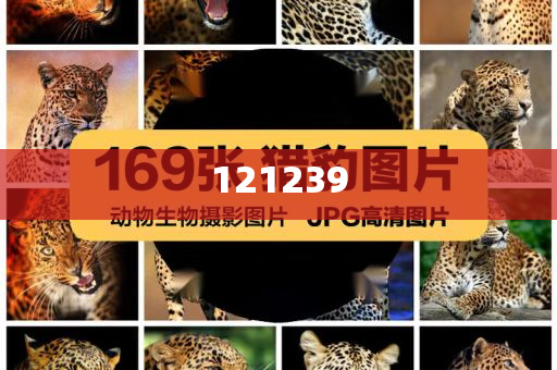 7777788888管家婆老家鳳凰，鳳凰老家傳奇管家婆的故事