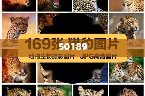 2025港彩開獎(jiǎng)結(jié)果查詢今天，2025年港彩今日開獎(jiǎng)結(jié)果查詢