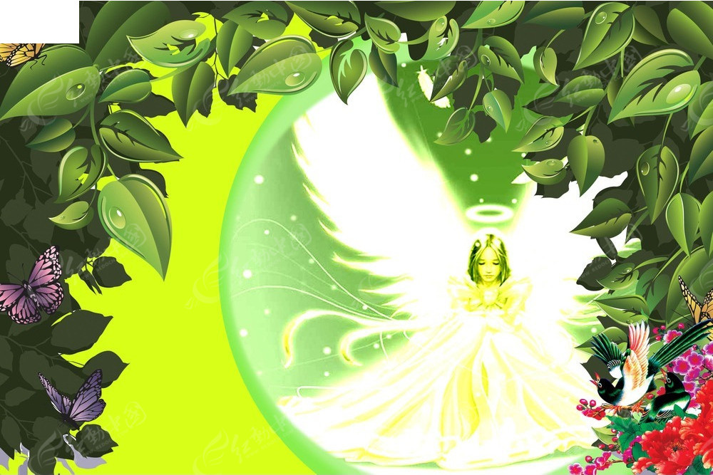 澳門花仙子免費資料大全，一網(wǎng)打盡所有你想知道的，澳門花仙子免費資料大全，一站式獲取所有你想知道的信息