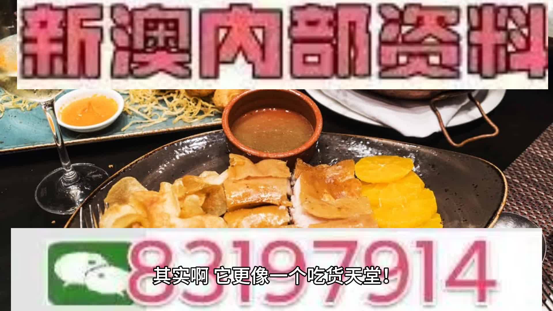 新澳2025年一肖一馬中特，新澳2025年一肖一馬中特預(yù)測與解析