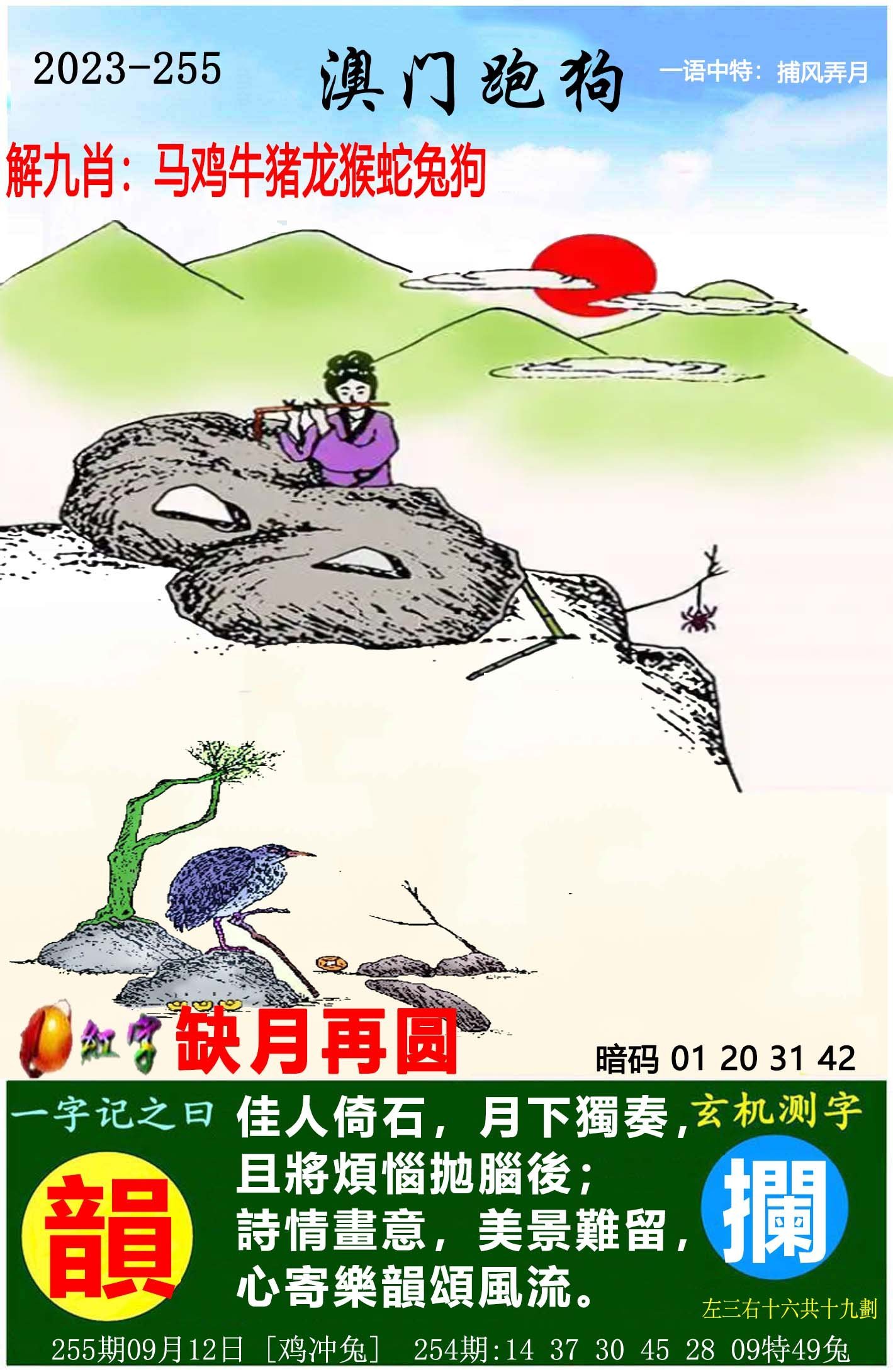 2025澳門天天開好彩大全65期，澳門天天開好彩大全 65期精彩回顧 2025年