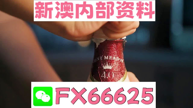 新澳門一碼一碼100準確，澳門彩票一碼精準預測，揭秘準確率背后的秘密