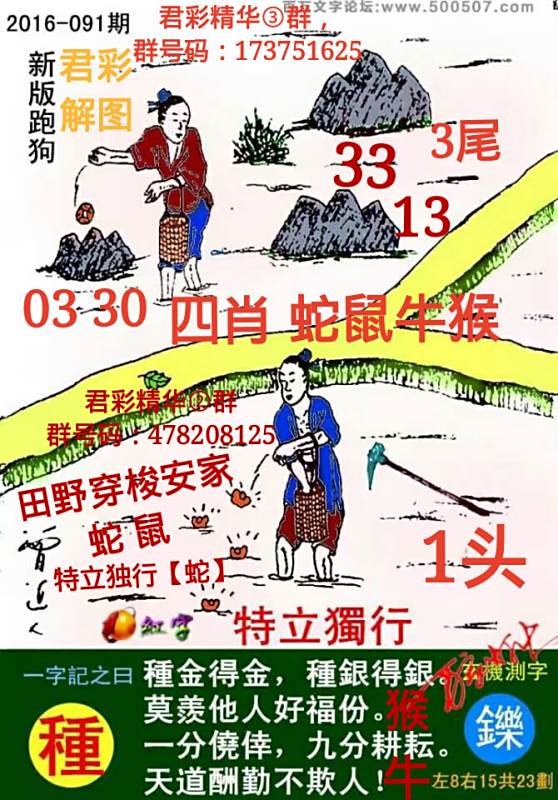揭秘7777788888精準(zhǔn)跑狗圖—一網(wǎng)打盡跑狗圖真相與奧秘，揭秘精準(zhǔn)跑狗圖真相與奧秘，一網(wǎng)打盡跑狗圖揭秘報告