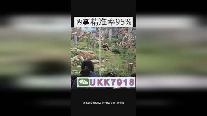 今晚澳門開獎結(jié)果2025，澳門今晚開獎結(jié)果2025年揭曉