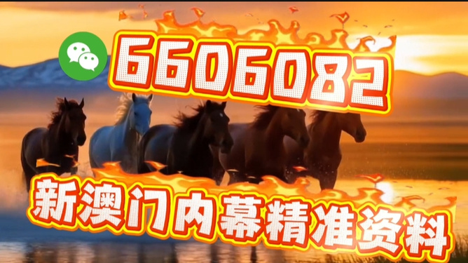 今晚澳門特馬開(kāi)的什么，澳門今晚特馬開(kāi)獎(jiǎng)結(jié)果揭曉