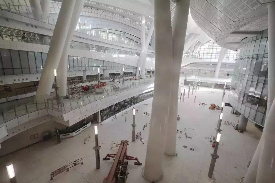 香港最快最準(zhǔn)資料免費(fèi)大揭秘，2017-2時代的探索，香港資料大揭秘，2017-202X時代的探索與免費(fèi)分享