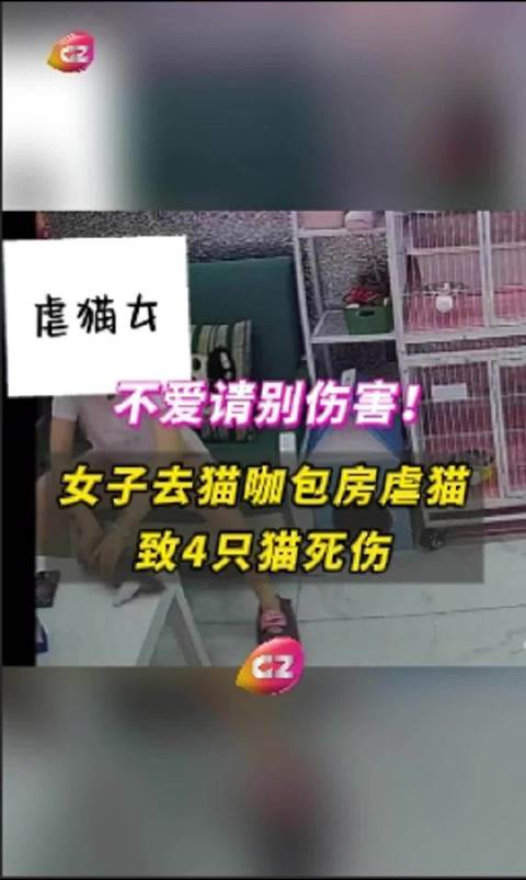 女子去貓咖包房虐貓致4只貓死傷據(jù)報(bào)道，一名女子在貓咖包房?jī)?nèi)虐待貓咪，導(dǎo)致四只貓咪死傷。這種行為是極其殘忍和不道德的行為，不僅違反了動(dòng)物保護(hù)法規(guī)，也嚴(yán)重違背了人類(lèi)道德和社會(huì)公德。