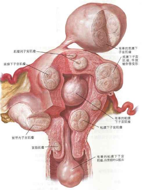 娛樂生活 第254頁(yè)