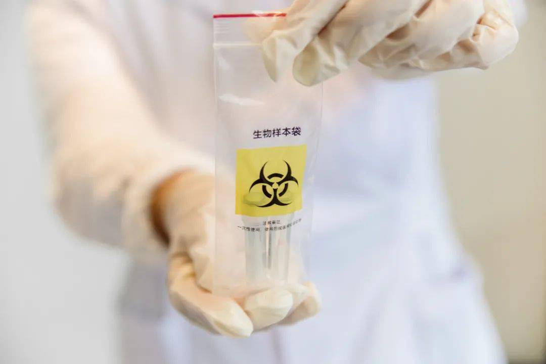 陶白白有多準陶白白到底有多準？深度解讀其預測能力