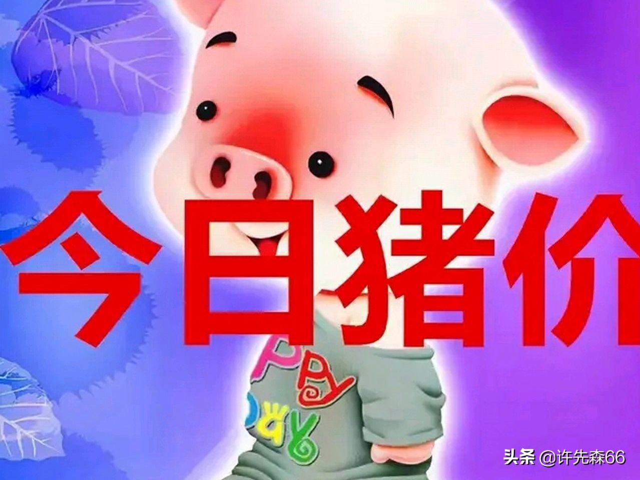 寧夏水災(zāi)致養(yǎng)殖戶損失慘重？假的揭秘真相！寧夏水災(zāi)并未導(dǎo)致養(yǎng)殖戶損失慘重