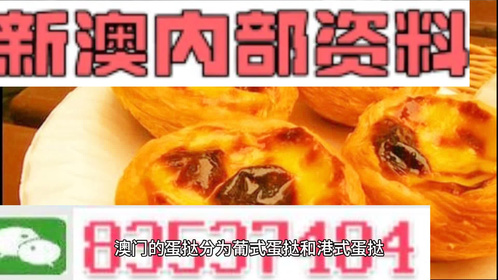 新2024澳門兔費(fèi)資料大揭秘，揭秘澳門兔費(fèi)資料大解密，全新2024版獨(dú)家揭秘