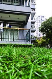15層墜樓奇跡生還奇跡生還！從15層墜樓如何逃過一劫？