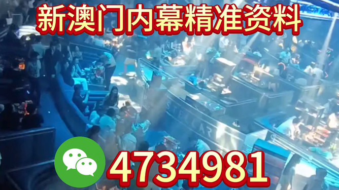 新奧今天開的什么，新奧今日開業(yè)揭秘