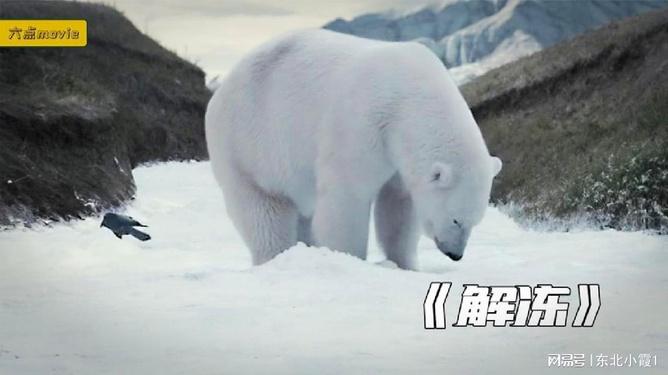 冰川融化有多可怕冰川融化有多可怕，全球變暖下的生態(tài)災(zāi)難與警示