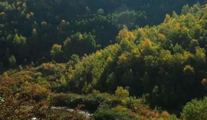 榆中山脈榆中山脈，自然之美與探索之旅