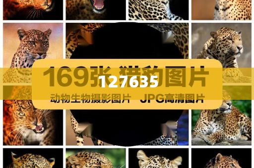 777788888888精準(zhǔn)，精準(zhǔn)7777與8888的交匯點(diǎn)
