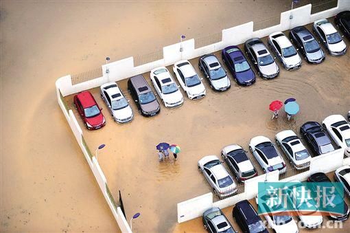 洪水1分鐘沖走10多輛車清空停車場洪水一分鐘沖走十多輛車清空停車場，災(zāi)難現(xiàn)場與防范策略
