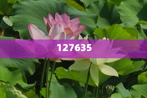 揭秘7777788888精準新傳真，一網打盡最新資訊，揭秘最新資訊，一網打盡精準新傳真 77777與88888的獨家解讀