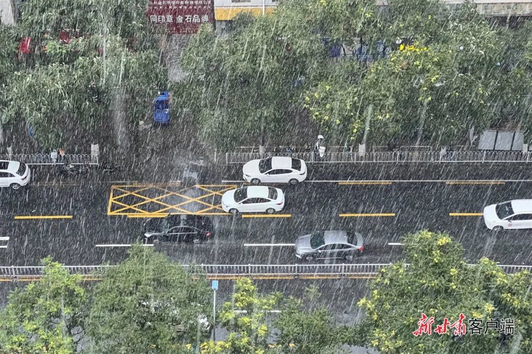“沒見過甘肅下這么大的雨”罕見！甘肅遭遇罕見大雨，背后的故事令人驚嘆